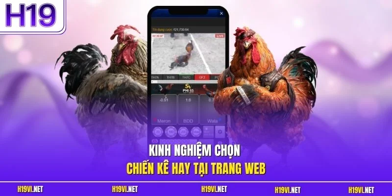 Kinh nghiệm chọn chiến kê hay tại trang web